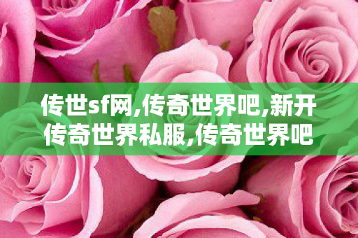 传世sf网,传奇世界吧,新开传奇世界私服,传奇世界吧