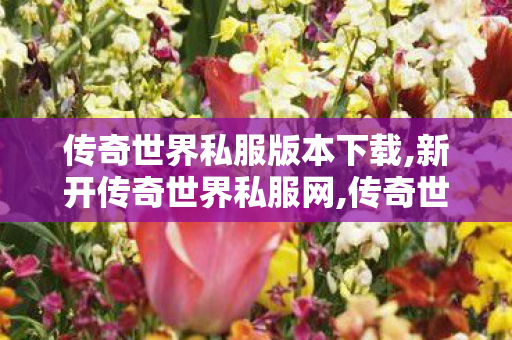 传奇世界私服版本下载,新开传奇世界私服网,传奇世界私服发布,新开传奇世界私服网