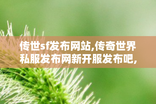 传世sf发布网站,传奇世界私服发布网新开服发布吧,传奇世界新服网发布网,传奇世界私服发布网新开服发布吧