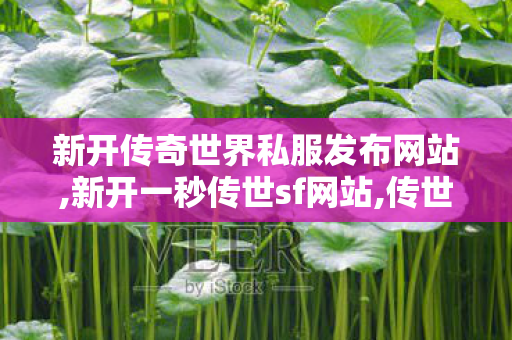 新开传奇世界私服发布网站,新开一秒传世sf网站,传世sf,新开一秒传世sf网站