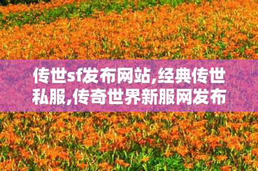 传世sf发布网站,经典传世私服,传奇世界新服网发布网,经典传世私服