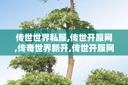 传世世界私服,传世开服网,传奇世界新开,传世开服网