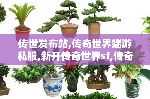 传世发布站,传奇世界端游私服,新开传奇世界sf,传奇世界端游私服