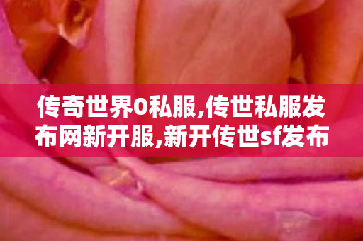传奇世界0私服,传世私服发布网新开服,新开传世sf发布网,传世私服发布网新开服