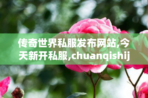 传奇世界私服发布网站,今天新开私服,chuanqishijiesifu,今天新开私服