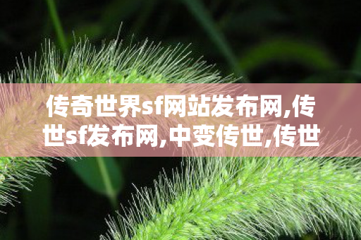 传奇世界sf网站发布网,传世sf发布网,中变传世,传世sf发布网