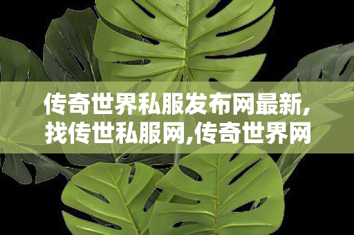传奇世界私服发布网最新,找传世私服网,传奇世界网站手机版,找传世私服网
