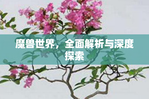 魔兽世界，全面解析与深度探索