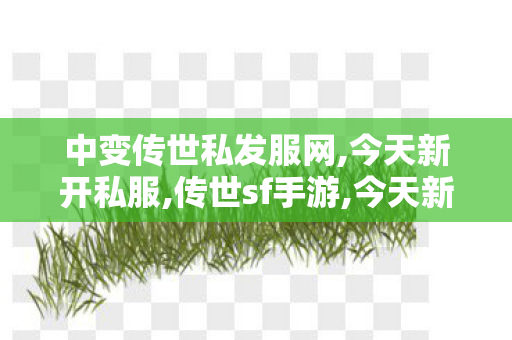 中变传世私发服网,今天新开私服,传世sf手游,今天新开私服