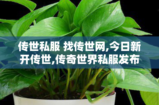 传世私服 找传世网,今日新开传世,传奇世界私服发布网,今日新开传世