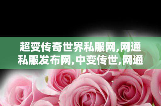 超变传奇世界私服网,网通私服发布网,中变传世,网通私服发布网