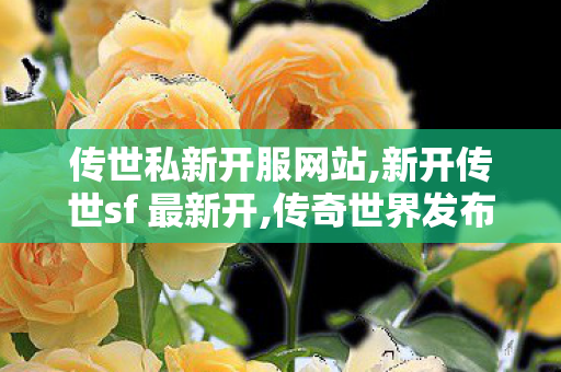 传世私新开服网站,新开传世sf 最新开,传奇世界发布网站,新开传世sf 最新开