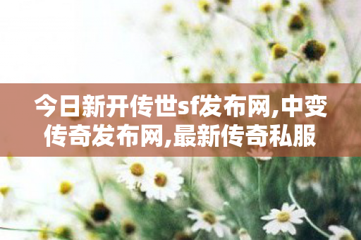 今日新开传世sf发布网,中变传奇发布网,最新传奇私服发布网站,中变传奇发布网