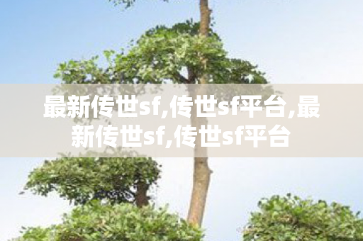 最新传世sf,传世sf平台,最新传世sf,传世sf平台