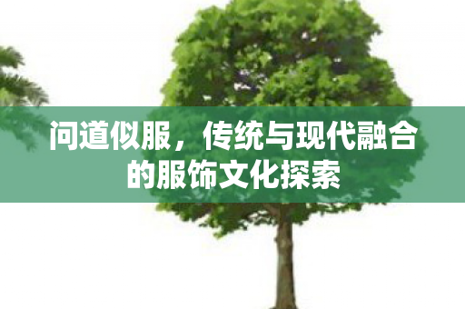 问道似服，传统与现代融合的服饰文化探索