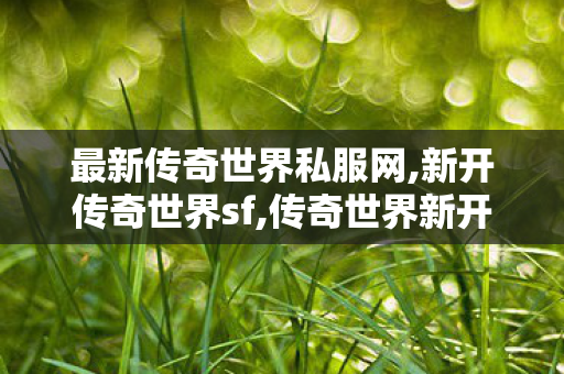 最新传奇世界私服网,新开传奇世界sf,传奇世界新开,新开传奇世界sf