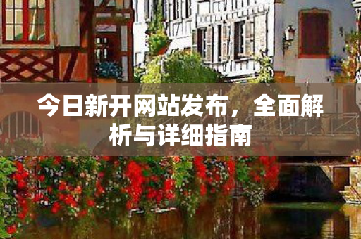 今日新开网站发布，全面解析与详细指南