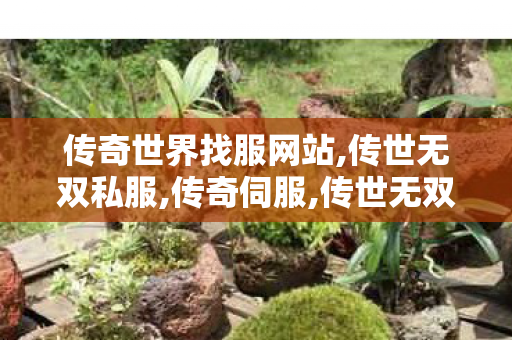 传奇世界找服网站,传世无双私服,传奇伺服,传世无双私服