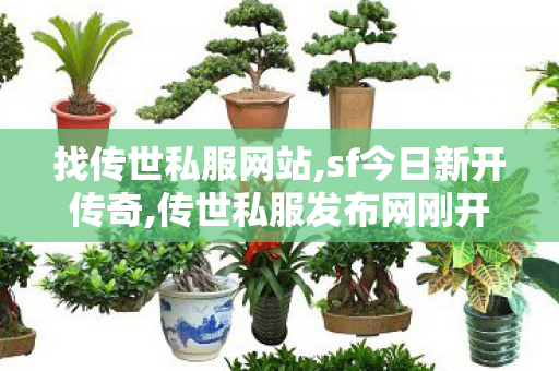 找传世私服网站,sf今日新开传奇,传世私服发布网刚开一秒,sf今日新开传奇
