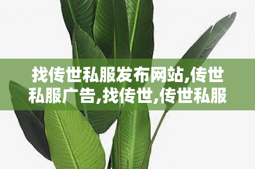找传世私服发布网站,传世私服广告,找传世,传世私服广告