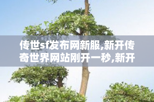 传世sf发布网新服,新开传奇世界网站刚开一秒,新开传世私服开服表,新开传奇世界网站刚开一秒