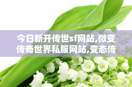 今日新开传世sf网站,微变传奇世界私服网站,变态传奇私发服网sf,微变传奇世界私服网站