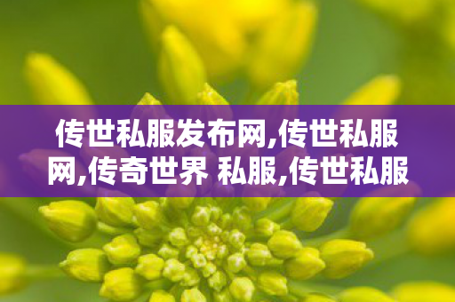 传世私服发布网,传世私服网,传奇世界 私服,传世私服网