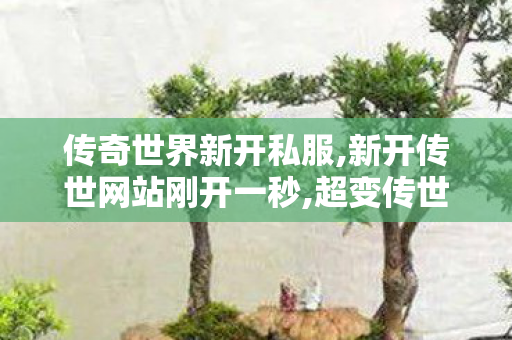 传奇世界新开私服,新开传世网站刚开一秒,超变传世sf,新开传世网站刚开一秒