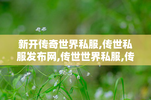 新开传奇世界私服,传世私服发布网,传世世界私服,传世私服发布网