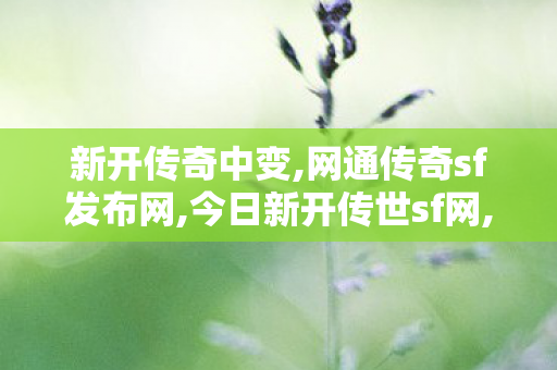 新开传奇中变,网通传奇sf发布网,今日新开传世sf网,网通传奇sf发布网