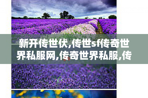新开传世伏,传世sf传奇世界私服网,传奇世界私服,传世sf传奇世界私服网