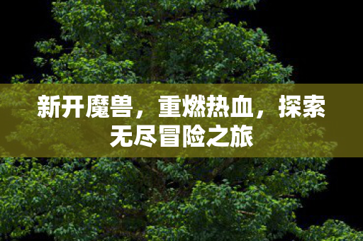 新开魔兽，重燃热血，探索无尽冒险之旅