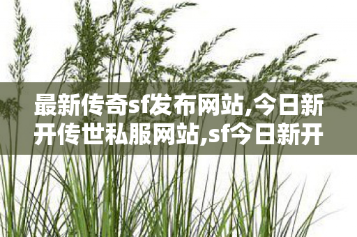 最新传奇sf发布网站,今日新开传世私服网站,sf今日新开传奇,今日新开传世私服网站