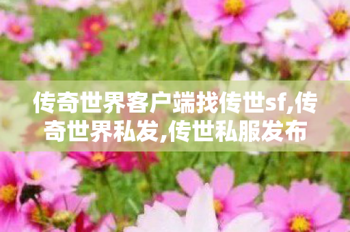 传奇世界客户端	找传世sf,传奇世界私发,传世私服发布站,传奇世界私发