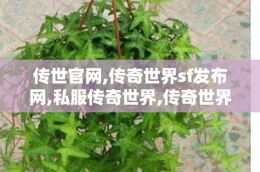 传世官网,传奇世界sf发布网,私服传奇世界,传奇世界sf发布网