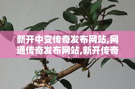 新开中变传奇发布网站,网通传奇发布网站,新开传奇世界sf发布,网通传奇发布网站
