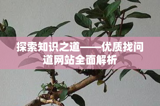 探索知识之道——优质找问道网站全面解析