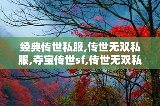 经典传世私服,传世无双私服,夺宝传世sf,传世无双私服
