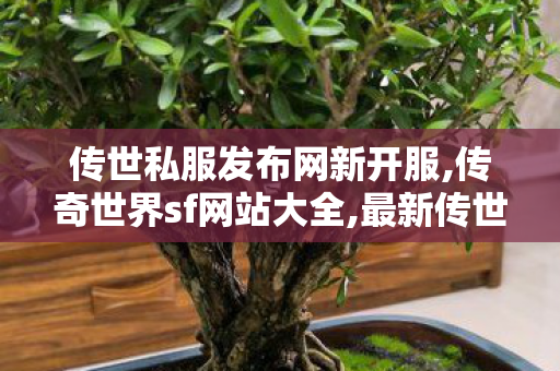 传世私服发布网新开服,传奇世界sf网站大全,最新传世sf网站,传奇世界sf网站大全