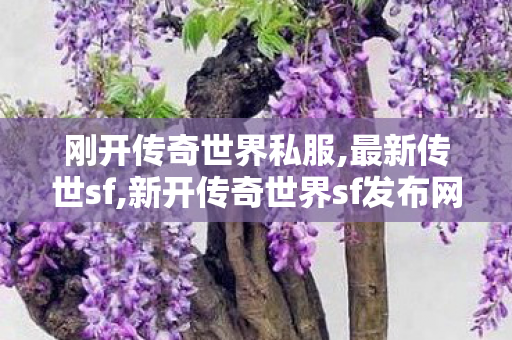 刚开传奇世界私服,最新传世sf,新开传奇世界sf发布网站,最新传世sf