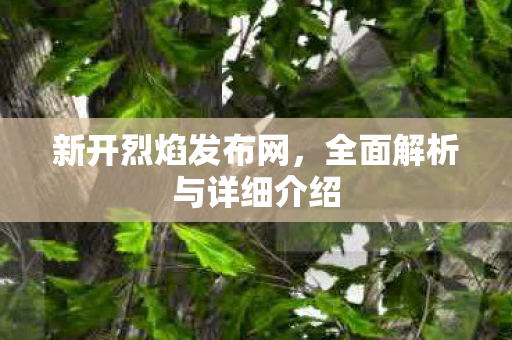 新开烈焰发布网，全面解析与详细介绍