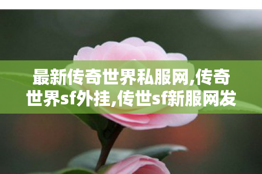 最新传奇世界私服网,传奇世界sf外挂,传世sf新服网发布网,传奇世界sf外挂