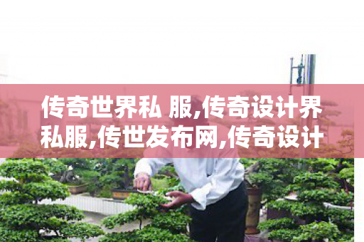 传奇世界私 服,传奇设计界私服,传世发布网,传奇设计界私服