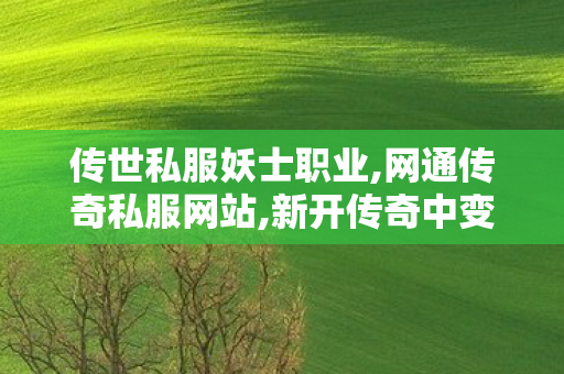 传世私服妖士职业,网通传奇私服网站,新开传奇中变sf网站,网通传奇私服网站