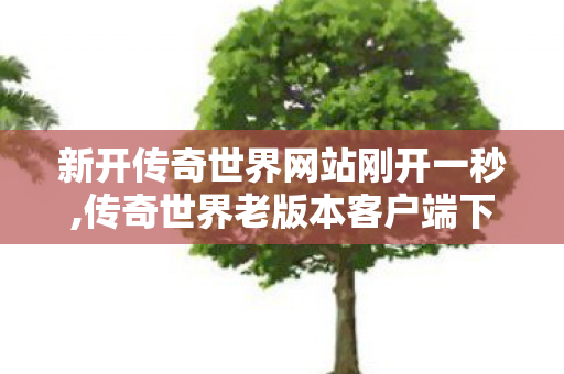 新开传奇世界网站刚开一秒,传奇世界老版本客户端下载,传奇世界私服开服,传奇世界老版本客户端下载