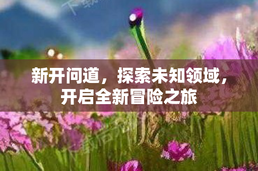 新开问道，探索未知领域，开启全新冒险之旅