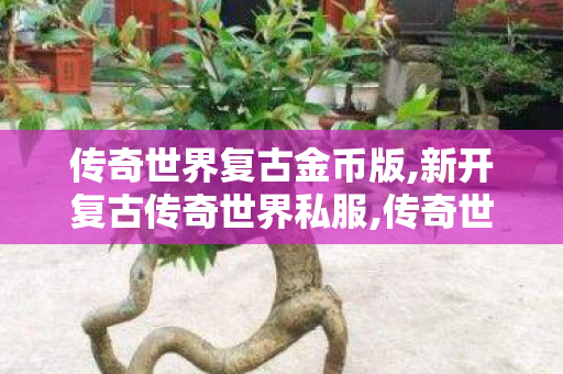 传奇世界复古金币版,新开复古传奇世界私服,传奇世界私服发布网,新开复古传奇世界私服