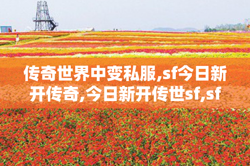 传奇世界中变私服,sf今日新开传奇,今日新开传世sf,sf今日新开传奇