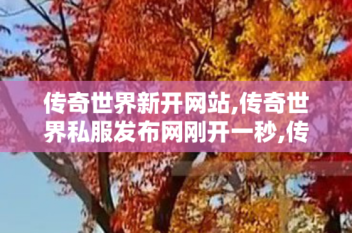 传奇世界新开网站,传奇世界私服发布网刚开一秒,传奇世界开服网站,传奇世界私服发布网刚开一秒