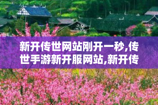 新开传世网站刚开一秒,传世手游新开服网站,新开传奇世界私服刚开一秒,传世手游新开服网站
